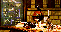 McGonagall Animagus.gif