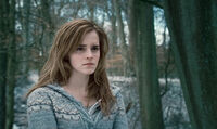 HP7 Hermione Granger.jpg
