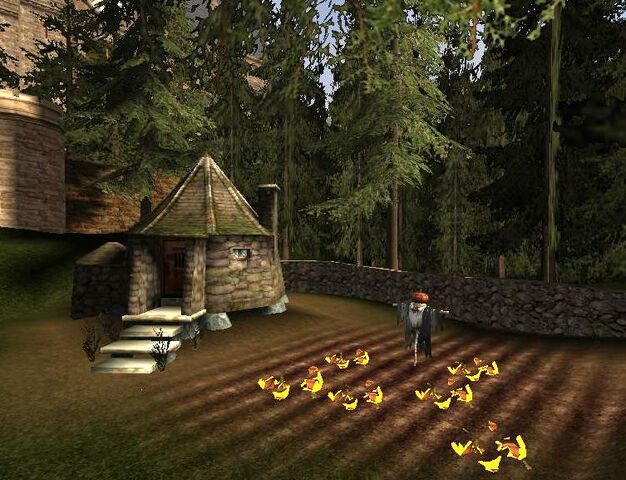 File:Hagrid's hut 03.jpg