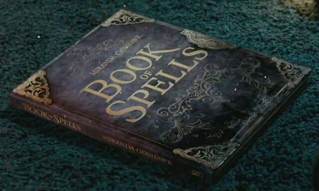 File:BookofSpellsMirandaGoshawk.jpg