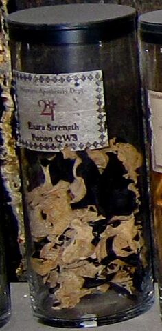 File:ExtraStrenghtPotionQWS.jpg
