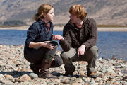 DH1 Ron and Hermione picking up stones.jpg