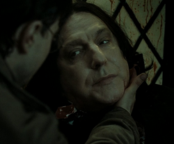 Snape's Death...png