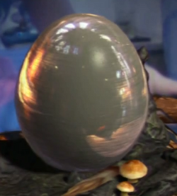 OccamyEgg