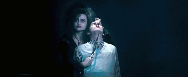 File:Order-of-the-phoenix neville bellatrix.jpg