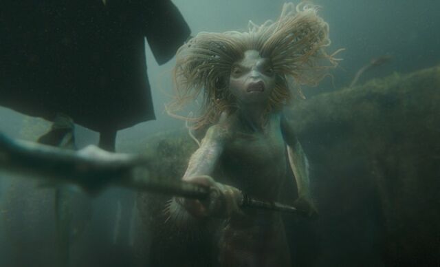Bestand:830px-MermaidHP1.jpg