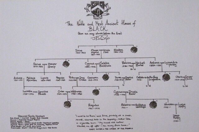 File:JKRBlackFamilyTree.jpg