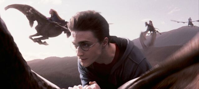 File:Order-of-the-phoenix-movie-screencaps.com-12596.jpg