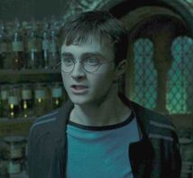 Harry5.6.jpg