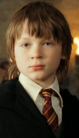 File:Harry-potter7-movie-screencaps.com-9135.jpg