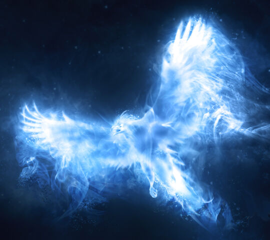 File:Dumbledores phoenix patronus.jpg