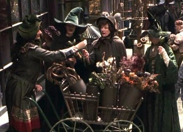 File:Florist's stall.jpg