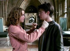Time-TurnerHarryHermione.jpg