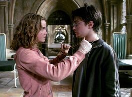 Time-TurnerHarryHermione.jpg