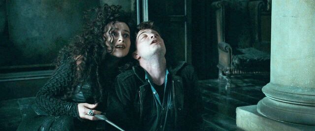 File:Harry-potter-deathly-hallows1 harry bellatrix.jpg