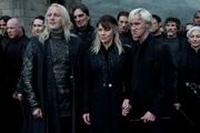Snitchseeker-dh2promos 52-1024x682.jpg