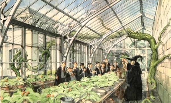 Image Herbology classroom (Concept artwork) 01.JPG Harry Potter