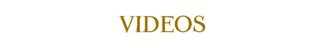 File:Hp-wiki-videos.png