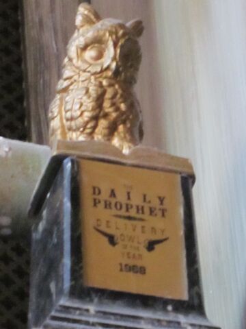 File:Daily prophet owl.jpg