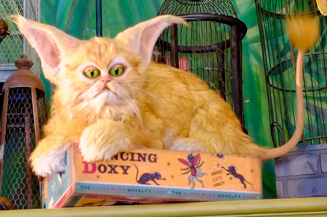 File:Kneazle.png