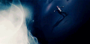 Lupins.gif