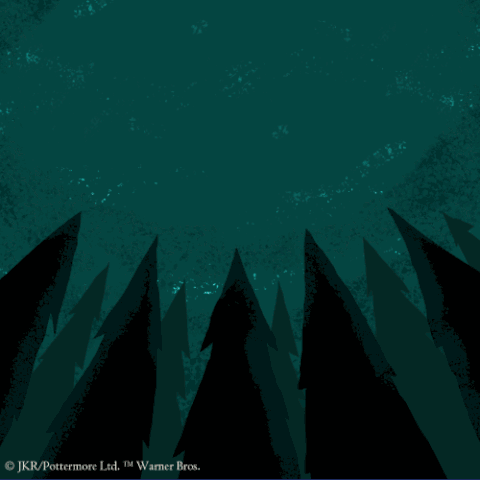 File:Book4 DARK-MARK 3 logo.gif