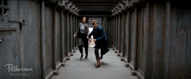 File:Tina and Newt on the run.jpg