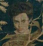 Bellatrix Black Family Tree.jpg