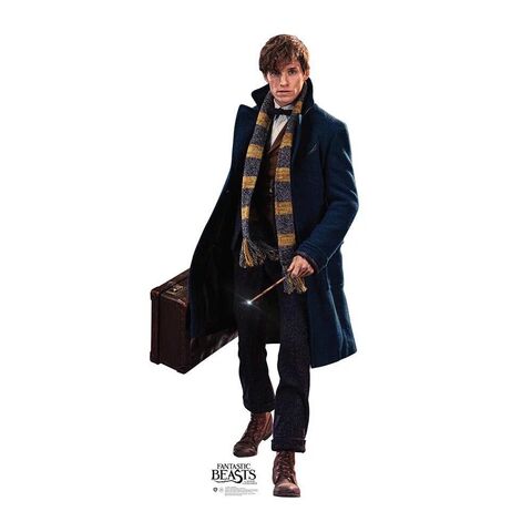 File:Newton Scamander promo.jpg