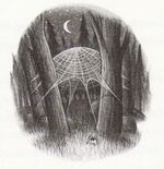 AragogSpider0.jpg