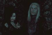 Lucius Malfoy + Bellatrix Lestrange.jpg