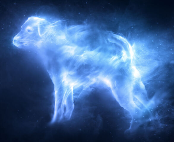 File:Ron's dog Patronus.jpg