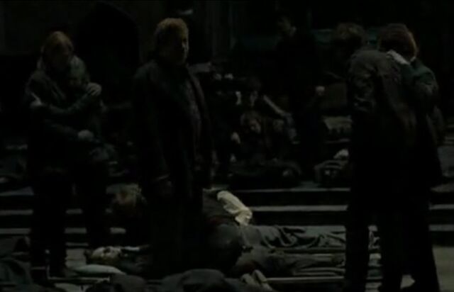 File:The Weasleys mourn.jpg