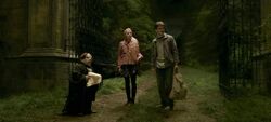 Harry-potter-half-blood-flitwick.jpg