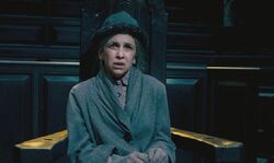 Mrs Figg Trial 1.jpg