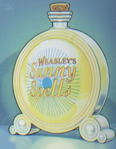 File:WeasleysSunnySpells1.jpg
