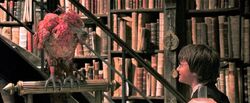 Harry-potter2-movie fawkes harry
