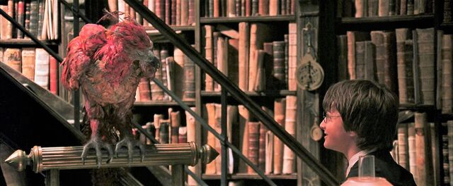 File:Harry-potter2-movie fawkes harry.jpg