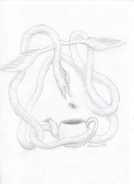 PtoszekFanArt