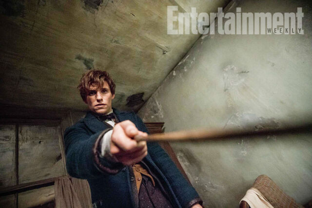 File:Newt's Wand.jpg