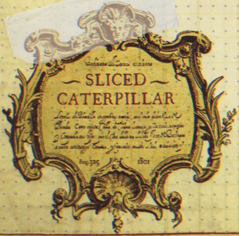 File:SlicedCaterpillar.jpg