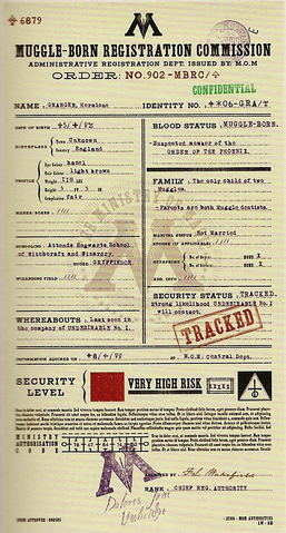 File:HermioneGrangerMinistryFile.png