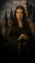 Ravenclaw paintfilter-688x1223.jpg