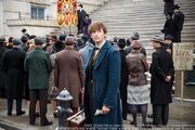 Newt-adunata-mary barebone.jpg