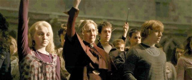 File:Ron, Luna, & Pomfrey raise wands.jpg