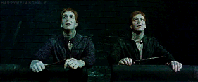 Tumblr mnxpfshSmY1rj7x0to1 500.gif