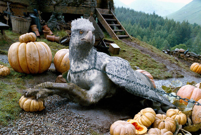 File:Buckbeack.jpeg