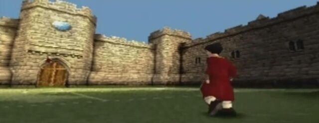 File:Quidditch Training Pitch.jpg