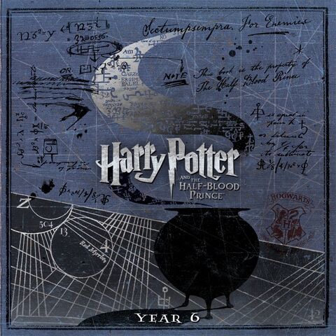 File:Video year6.jpg