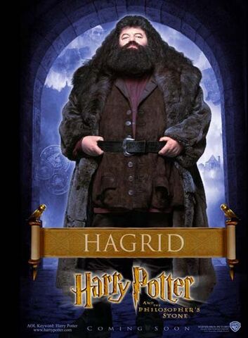 File:Hagrid PS poster.jpg